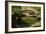 Moon Bridge II-Erin Berzel-Framed Photographic Print