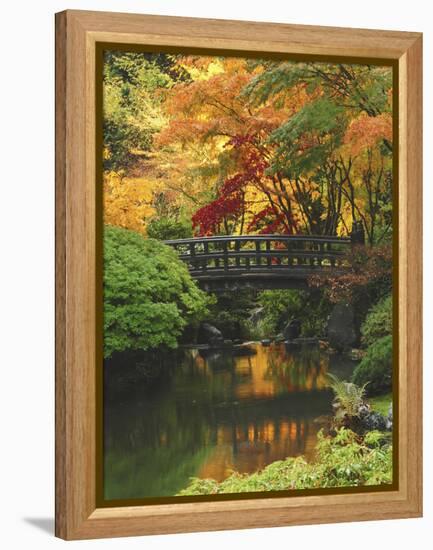 Moon Bridge in Autumn: Portland Japanese Garden, Portland, Oregon, USA-Michel Hersen-Framed Premier Image Canvas