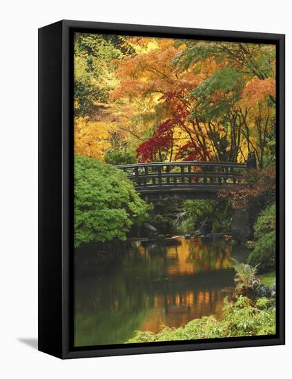 Moon Bridge in Autumn: Portland Japanese Garden, Portland, Oregon, USA-Michel Hersen-Framed Premier Image Canvas