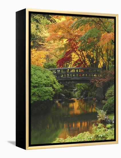 Moon Bridge in Autumn: Portland Japanese Garden, Portland, Oregon, USA-Michel Hersen-Framed Premier Image Canvas