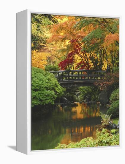 Moon Bridge in Autumn: Portland Japanese Garden, Portland, Oregon, USA-Michel Hersen-Framed Premier Image Canvas