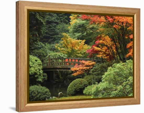 Moon Bridge in Autumn: Portland Japanese Garden, Portland, Oregon, USA-Michel Hersen-Framed Premier Image Canvas