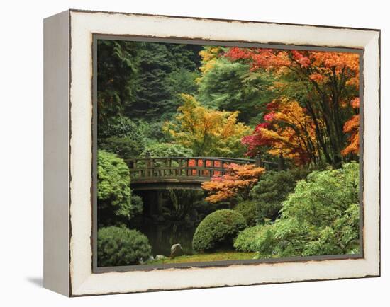 Moon Bridge in Autumn: Portland Japanese Garden, Portland, Oregon, USA-Michel Hersen-Framed Premier Image Canvas