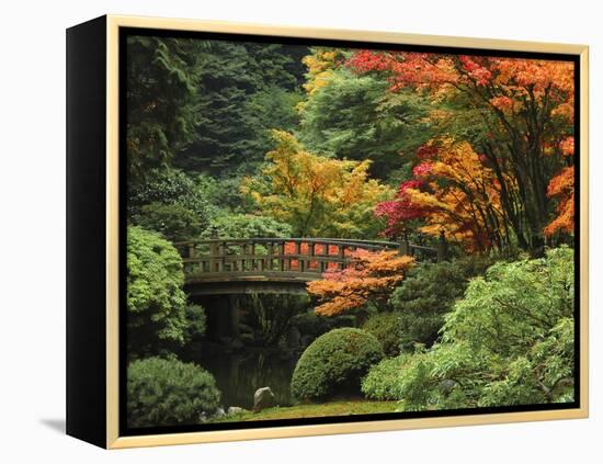 Moon Bridge in Autumn: Portland Japanese Garden, Portland, Oregon, USA-Michel Hersen-Framed Premier Image Canvas