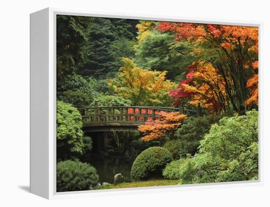 Moon Bridge in Autumn: Portland Japanese Garden, Portland, Oregon, USA-Michel Hersen-Framed Premier Image Canvas