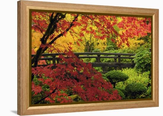 Moon Bridge in Autumn, Portland Japanese Garden, Portland, Oregon, USA-Michel Hersen-Framed Premier Image Canvas