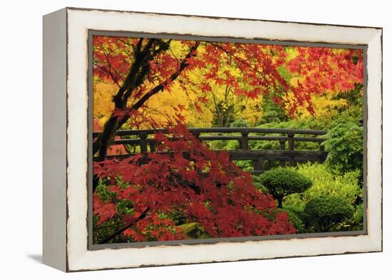 Moon Bridge in Autumn, Portland Japanese Garden, Portland, Oregon, USA-Michel Hersen-Framed Premier Image Canvas