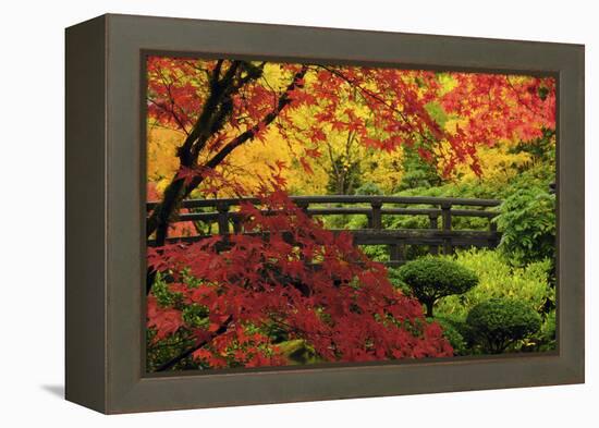 Moon Bridge in Autumn, Portland Japanese Garden, Portland, Oregon, USA-Michel Hersen-Framed Premier Image Canvas