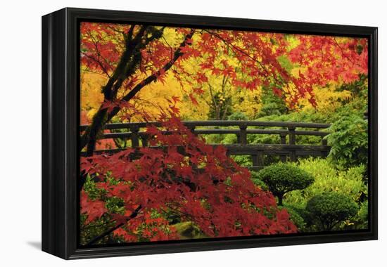 Moon Bridge in Autumn, Portland Japanese Garden, Portland, Oregon, USA-Michel Hersen-Framed Premier Image Canvas