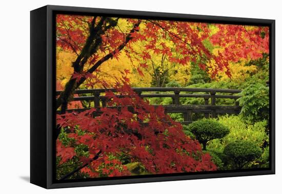 Moon Bridge in Autumn, Portland Japanese Garden, Portland, Oregon, USA-Michel Hersen-Framed Premier Image Canvas