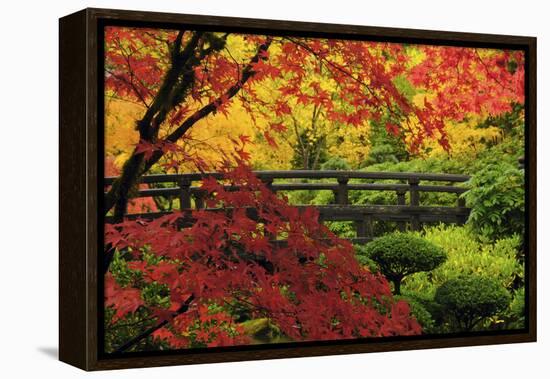 Moon Bridge in Autumn, Portland Japanese Garden, Portland, Oregon, USA-Michel Hersen-Framed Premier Image Canvas
