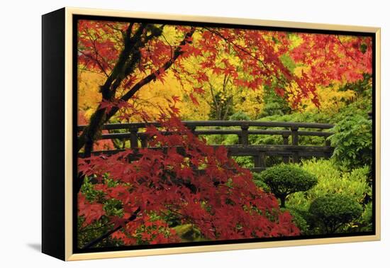 Moon Bridge in Autumn, Portland Japanese Garden, Portland, Oregon, USA-Michel Hersen-Framed Premier Image Canvas