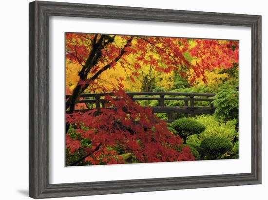 Moon Bridge in Autumn, Portland Japanese Garden, Portland, Oregon, USA-Michel Hersen-Framed Photographic Print