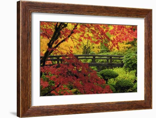 Moon Bridge in Autumn, Portland Japanese Garden, Portland, Oregon, USA-Michel Hersen-Framed Photographic Print