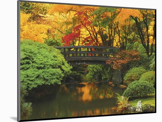 Moon Bridge in Autumn: Portland Japanese Garden, Portland, Oregon, USA-Michel Hersen-Mounted Photographic Print