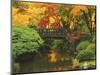 Moon Bridge in Autumn: Portland Japanese Garden, Portland, Oregon, USA-Michel Hersen-Mounted Photographic Print