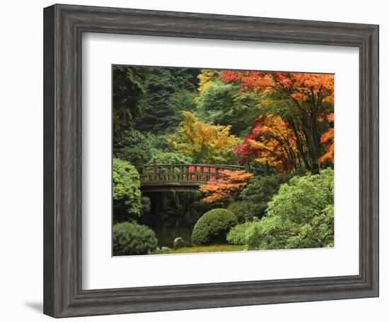 Moon Bridge in Autumn: Portland Japanese Garden, Portland, Oregon, USA-Michel Hersen-Framed Photographic Print