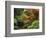 Moon Bridge in Autumn: Portland Japanese Garden, Portland, Oregon, USA-Michel Hersen-Framed Photographic Print