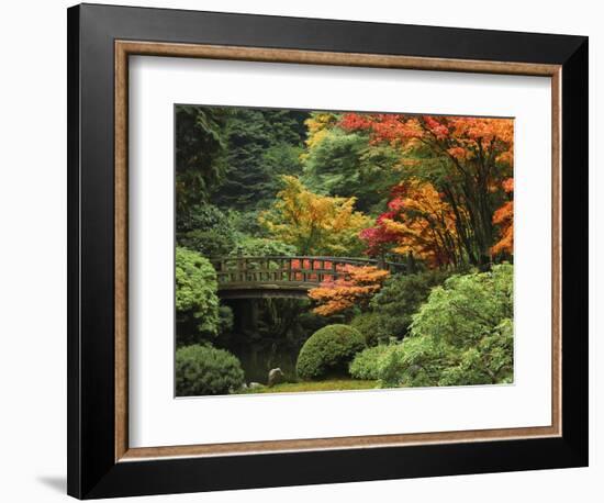 Moon Bridge in Autumn: Portland Japanese Garden, Portland, Oregon, USA-Michel Hersen-Framed Photographic Print