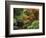 Moon Bridge in Autumn: Portland Japanese Garden, Portland, Oregon, USA-Michel Hersen-Framed Photographic Print