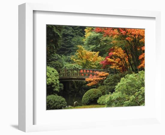 Moon Bridge in Autumn: Portland Japanese Garden, Portland, Oregon, USA-Michel Hersen-Framed Photographic Print