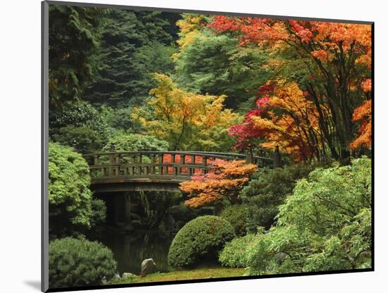 Moon Bridge in Autumn: Portland Japanese Garden, Portland, Oregon, USA-Michel Hersen-Mounted Photographic Print