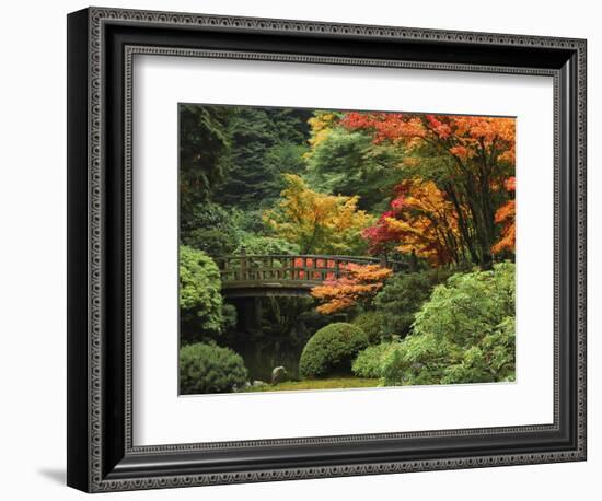 Moon Bridge in Autumn: Portland Japanese Garden, Portland, Oregon, USA-Michel Hersen-Framed Photographic Print