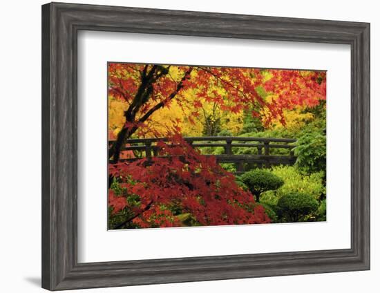 Moon Bridge in Autumn, Portland Japanese Garden, Portland, Oregon, USA-Michel Hersen-Framed Photographic Print