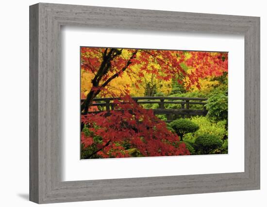 Moon Bridge in Autumn, Portland Japanese Garden, Portland, Oregon, USA-Michel Hersen-Framed Photographic Print