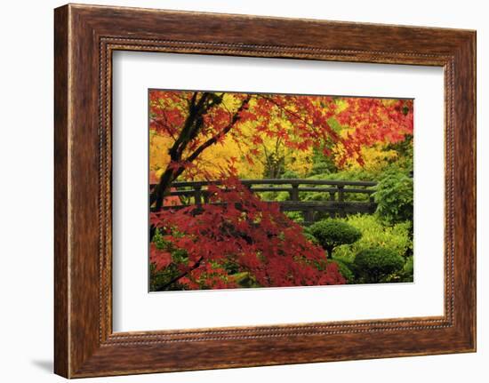 Moon Bridge in Autumn, Portland Japanese Garden, Portland, Oregon, USA-Michel Hersen-Framed Photographic Print