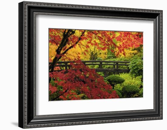 Moon Bridge in Autumn, Portland Japanese Garden, Portland, Oregon, USA-Michel Hersen-Framed Photographic Print