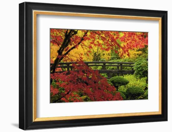 Moon Bridge in Autumn, Portland Japanese Garden, Portland, Oregon, USA-Michel Hersen-Framed Photographic Print