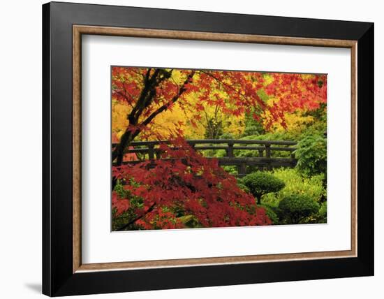 Moon Bridge in Autumn, Portland Japanese Garden, Portland, Oregon, USA-Michel Hersen-Framed Premium Photographic Print