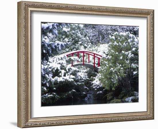 Moon Bridge in Kabota Gardens, Seattle, Washington, USA-Julie Eggers-Framed Photographic Print