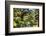 Moon Bridge Over a Small Creek-George Oze-Framed Photographic Print