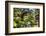 Moon Bridge Over a Small Creek-George Oze-Framed Photographic Print