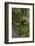 Moon Bridge, Portland Japanese Garden, Portland, Oregon-Michel Hersen-Framed Photographic Print