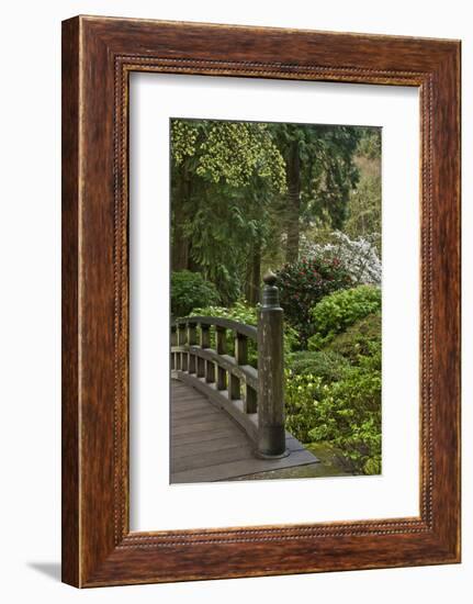 Moon Bridge, Portland Japanese Garden, Portland, Oregon-Michel Hersen-Framed Photographic Print