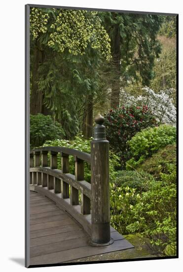 Moon Bridge, Portland Japanese Garden, Portland, Oregon-Michel Hersen-Mounted Photographic Print
