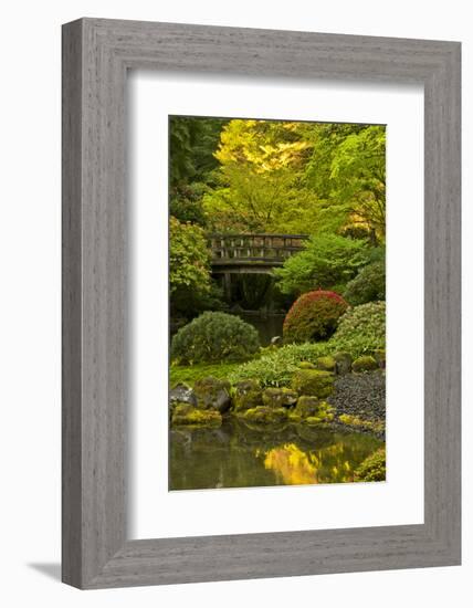 Moon Bridge, Spring, Portland Japanese Garden, Portland, Oregon, USA-Michel Hersen-Framed Photographic Print
