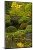 Moon Bridge, Spring, Portland Japanese Garden, Portland, Oregon, USA-Michel Hersen-Mounted Photographic Print