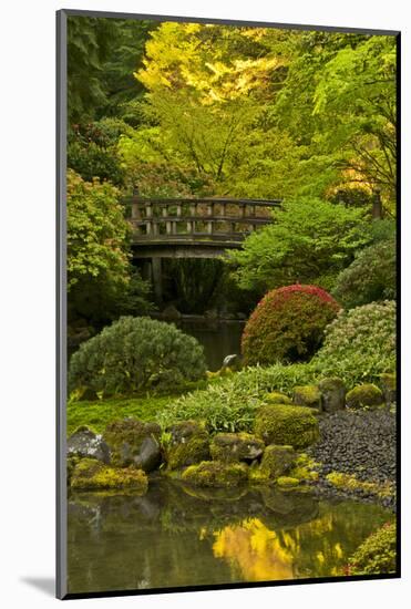 Moon Bridge, Spring, Portland Japanese Garden, Portland, Oregon, USA-Michel Hersen-Mounted Photographic Print