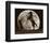 Moon Dance-Barry Hart-Framed Art Print