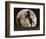 Moon Dance-Barry Hart-Framed Art Print