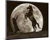 Moon Dance-Barry Hart-Mounted Art Print