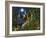 Moon Dragon-Bill Bell-Framed Giclee Print