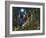 Moon Dragon-Bill Bell-Framed Giclee Print