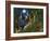 Moon Dragon-Bill Bell-Framed Giclee Print