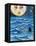 Moon Face Mermaid in The Sea-sylvia pimental-Framed Stretched Canvas