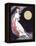 Moon Fairy Canvas 2a-Vintage Lavoie-Framed Premier Image Canvas